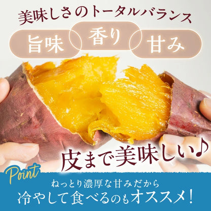 毎週【水曜日】19時〜 数量限定【訳あり・不揃い品】熟成スイーツやきいも┃1.5kg〜9.5kg